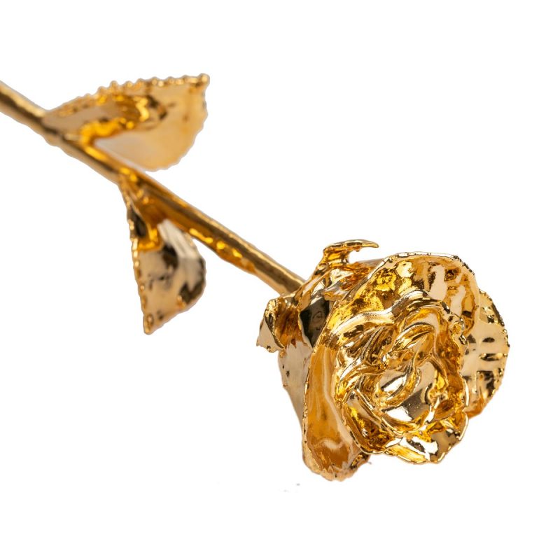 24K Golden Rose - Elite Luxury Gold Plating