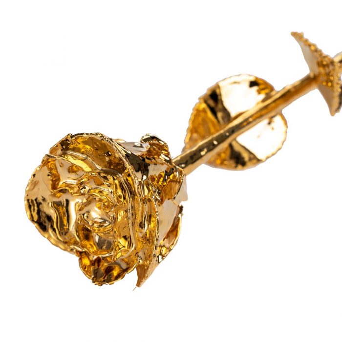 24K Golden Rose - Image 4