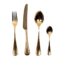 Robert Welch 24K Gold Plated Honeybourne 24PCS cutlery set